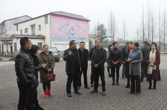 市委常委、统战部长陈伟深入岳池调研妇女儿童工作