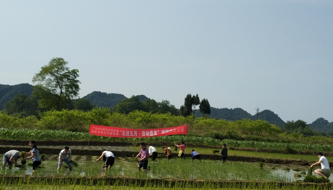 1527495964_145447.png 2.png